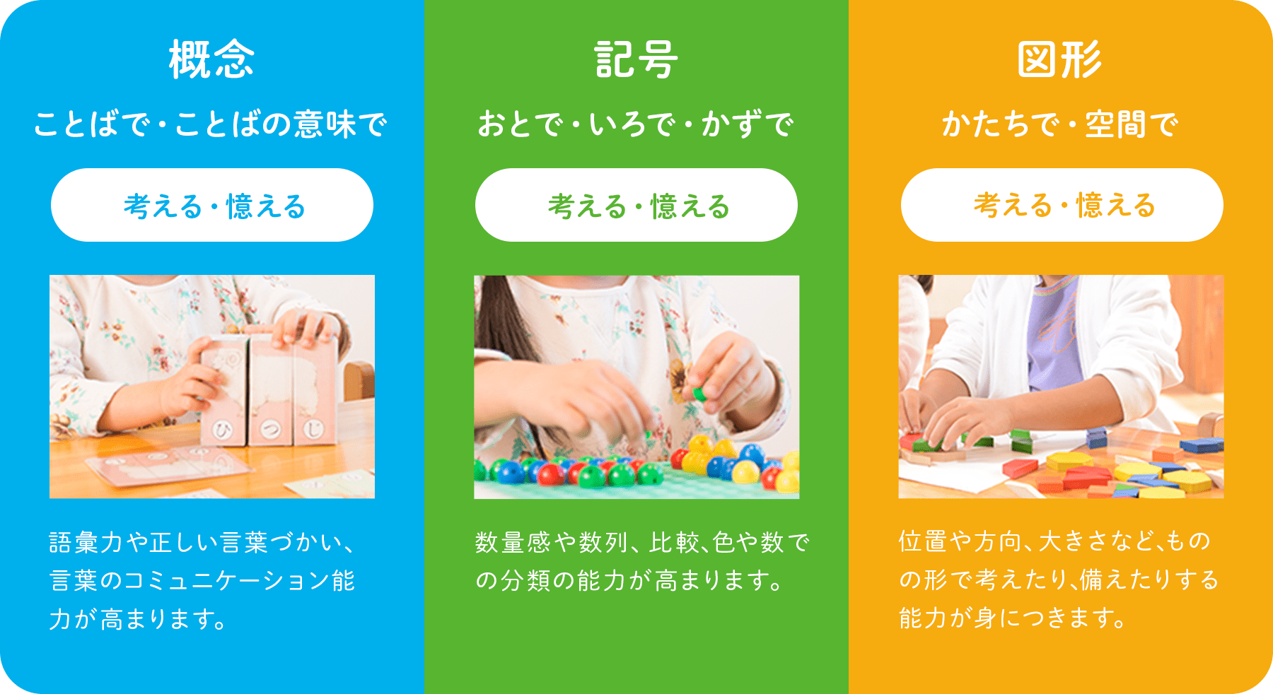 知能教育の内容